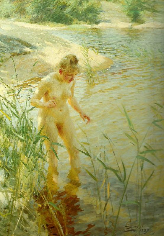 reflexer, Anders Zorn